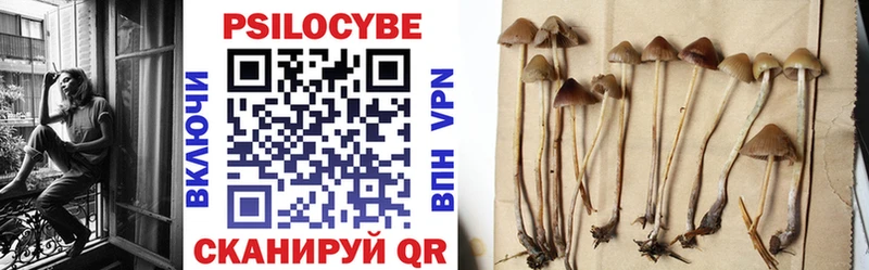 Купить закладки Кизилюрт Псилоцибиновые грибы MAGIC MUSHROOMS